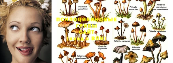 не бодяженный Инсар